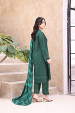 Load image into Gallery viewer, Dazzle Khaddar 3PC Dress
