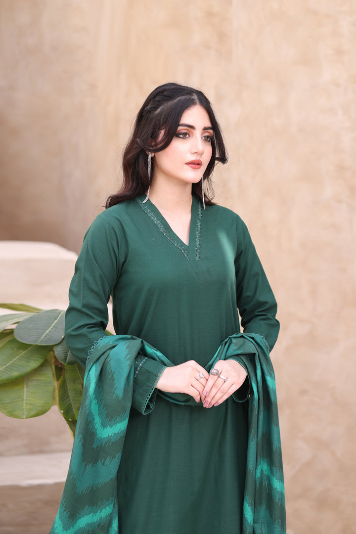 Dazzle Khaddar 3PC Dress