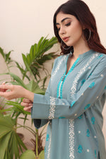 Load image into Gallery viewer, Subtle Shade Stitched 2pc Embroidered Suit