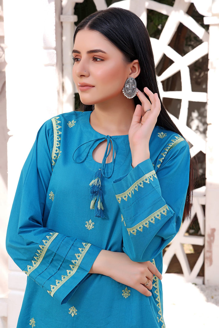 Pagoda Stitched 2 Piece Embroidered Cotton Suit