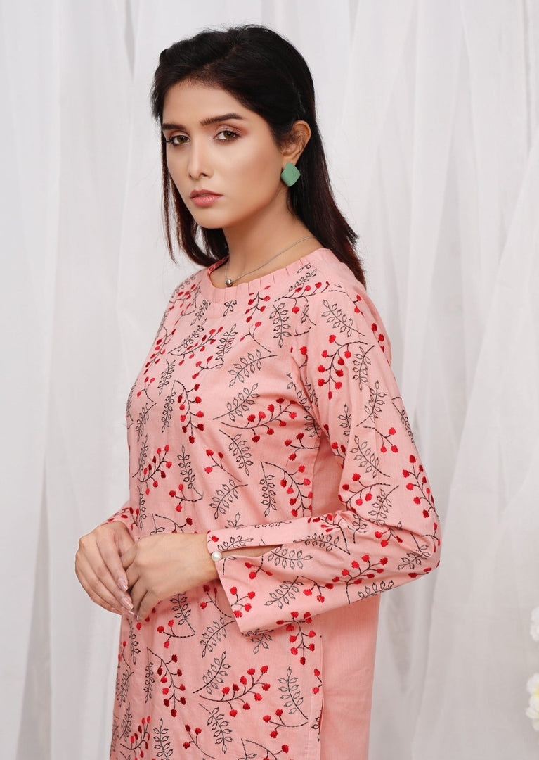 Coral Cloud Stitched 2 Piece Embroidered Cotton Suit